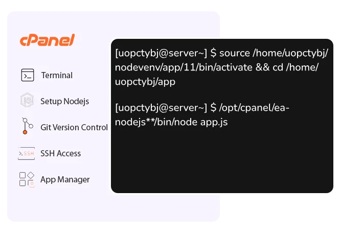 Expert NodeJS and Deployment Support Terminal Control